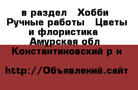  в раздел : Хобби. Ручные работы » Цветы и флористика . Амурская обл.,Константиновский р-н